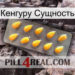 Кенгуру Сущность cialis1